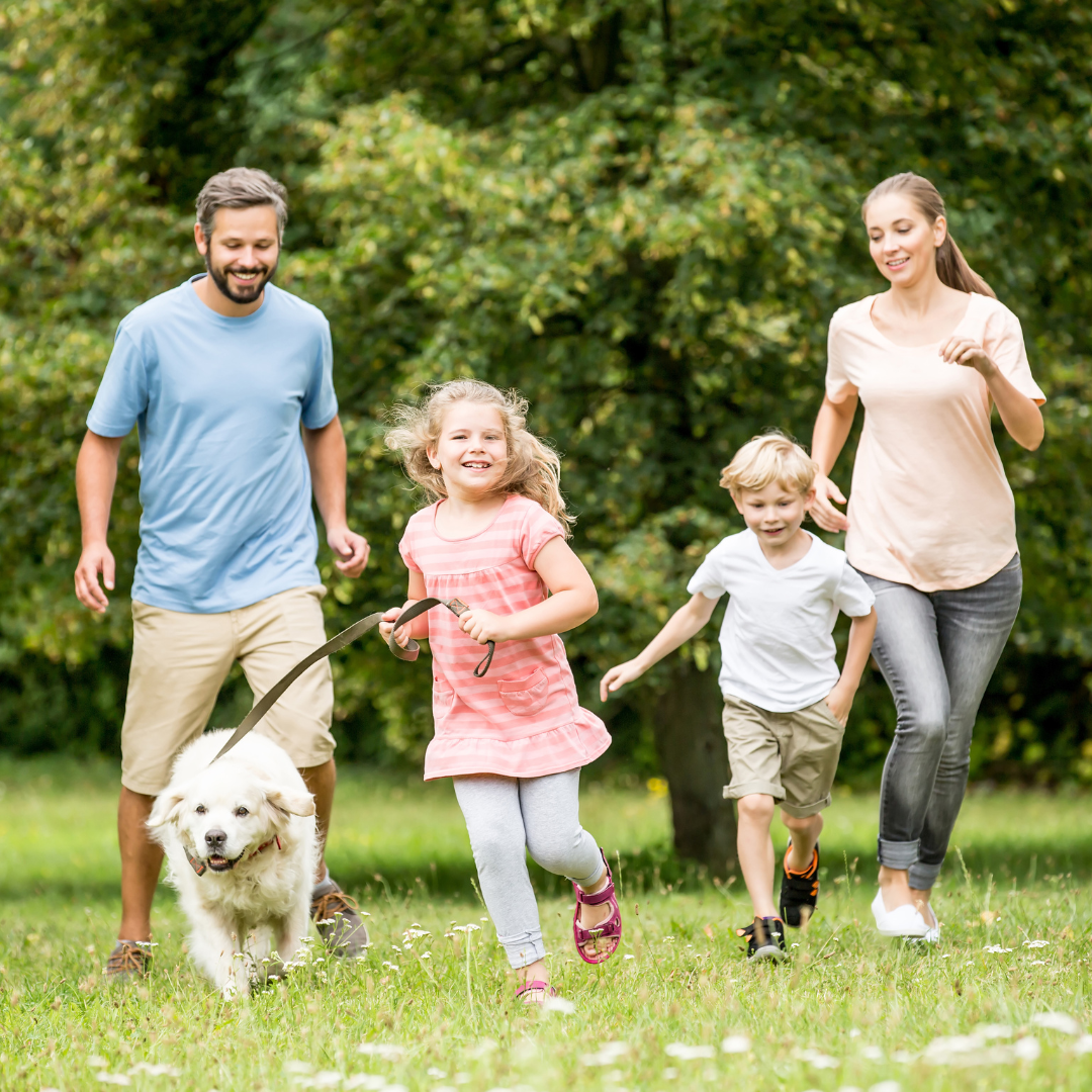 Ein Herz und vier Pfoten: Wie Hunde das Familienleben mit Kindern bereichern