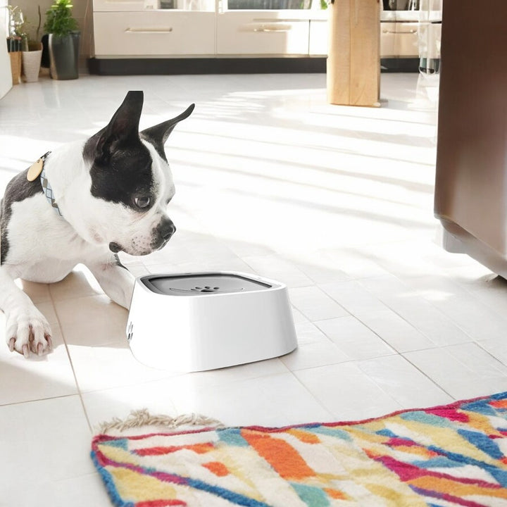 Emmalove - Gamelle anti-éclaboussures pour chien