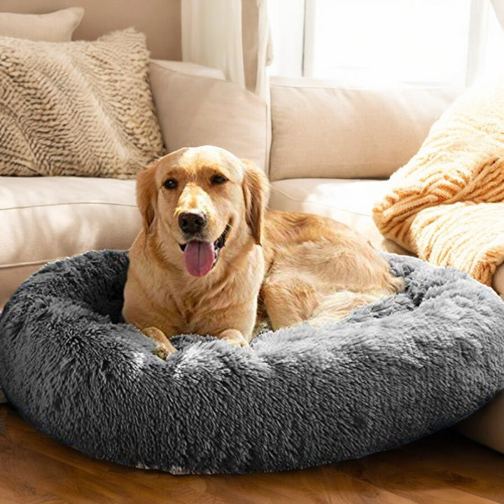 Emmalove - Donut câlin