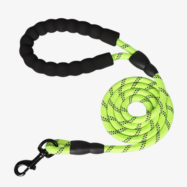 Emmalove - Laisse réfléchissante GlowLeash pour chien