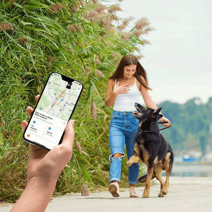 Collier en cuir SafeTrack – avec compartiment AirTag