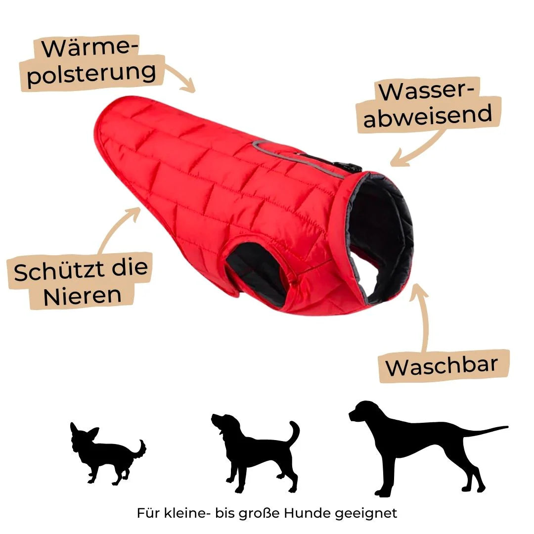 Emmalove - Gilet imperméable pour chien