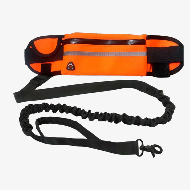 Laisse de confort tout-en-un