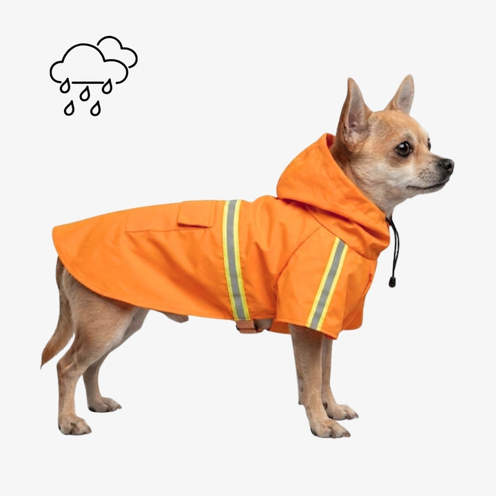 color-orange
