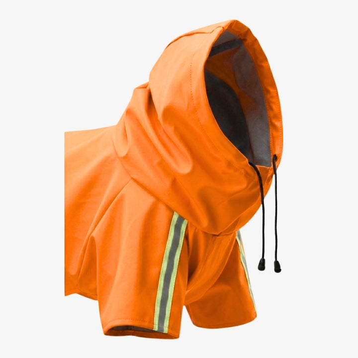 color-orange