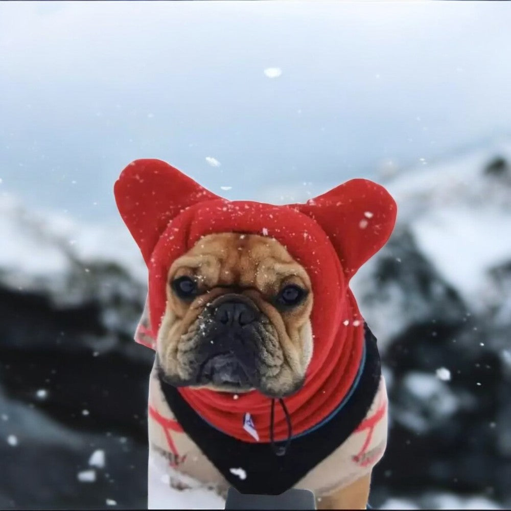 Bonnet Chaud D'hiver