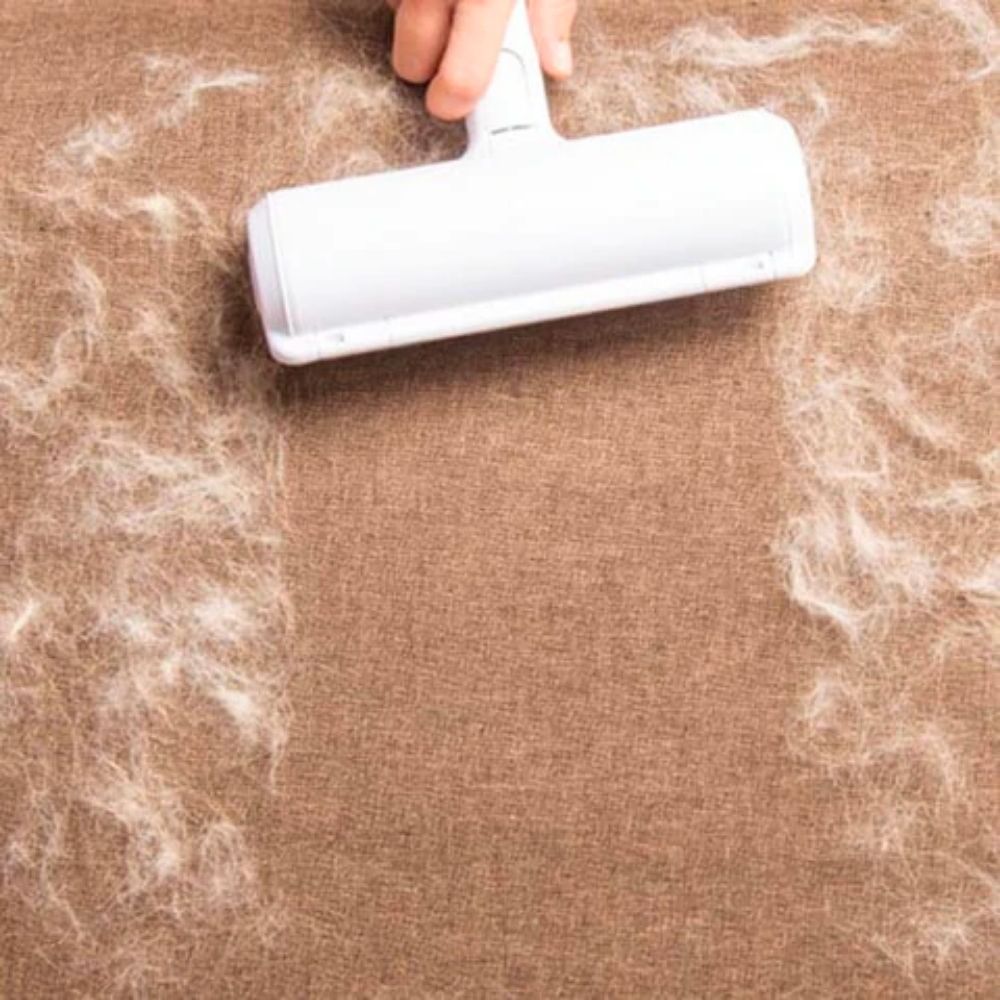 Emmalove - Éliminateur de poils d'animaux à 2 voies