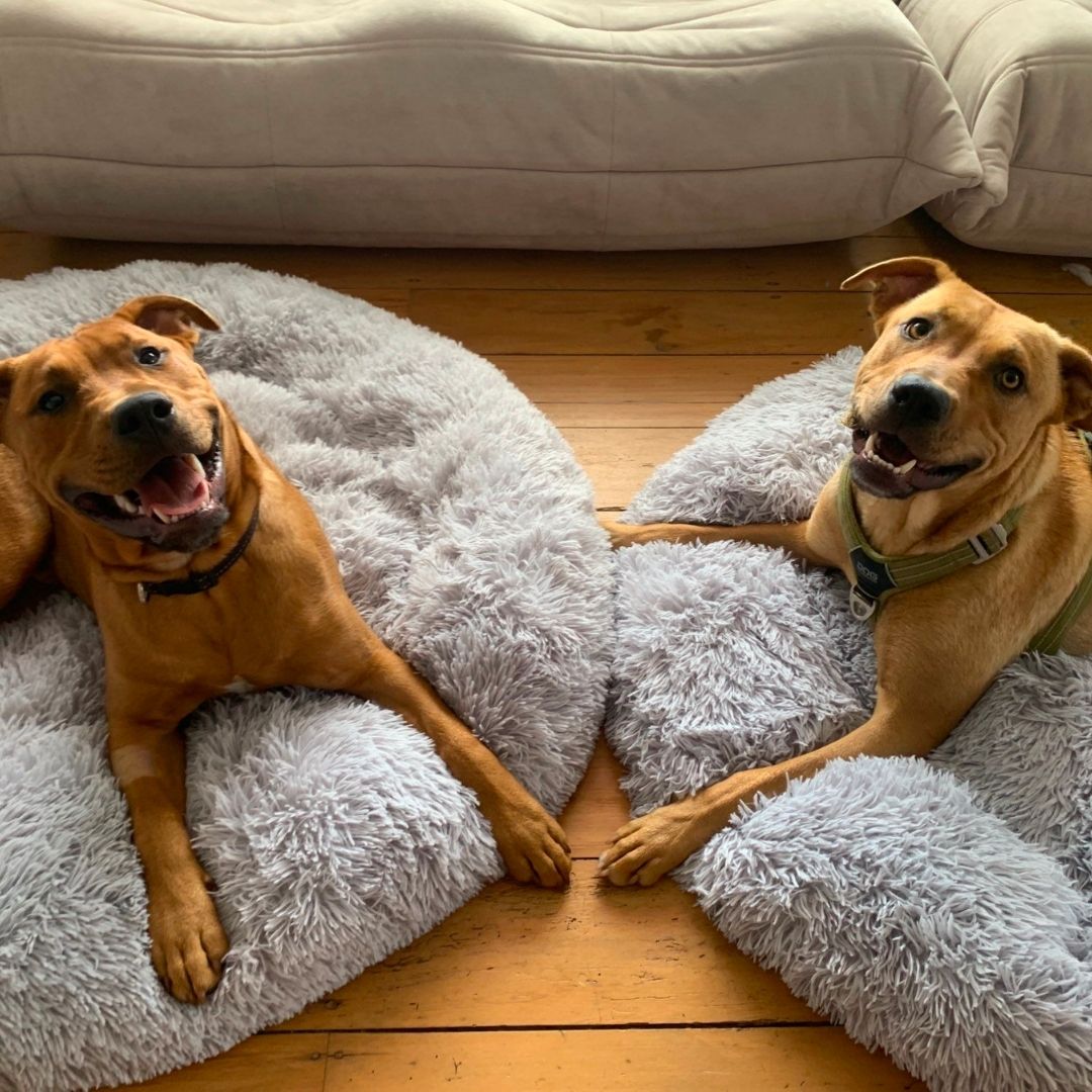 Emmalove - Donut câlin